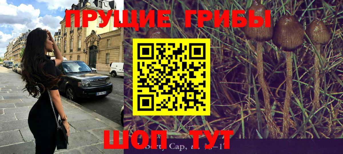 Галлюциногенные грибы прущие грибы  Псилоцибиновые грибы ЛСД  Вход с VPN  Сатка 