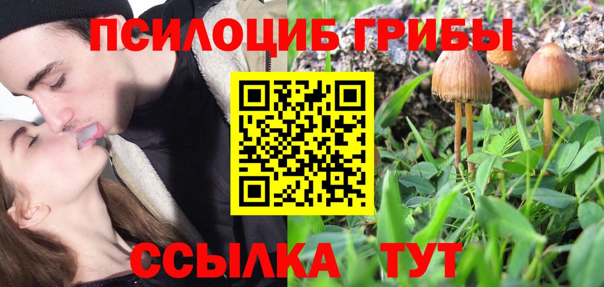 Псилоцибиновые грибы Psilocybe Сатка